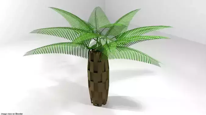Palm Tree - Oil
