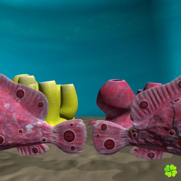 Antennarius low-poly with custom textures Low-poly 3D model_6