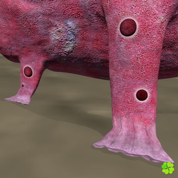 Antennarius low-poly with custom textures Low-poly 3D model_12