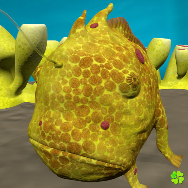 Antennarius low-poly with custom textures Low-poly 3D model_13