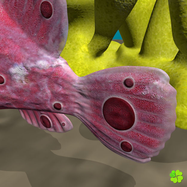 Antennarius low-poly with custom textures Low-poly 3D model_7