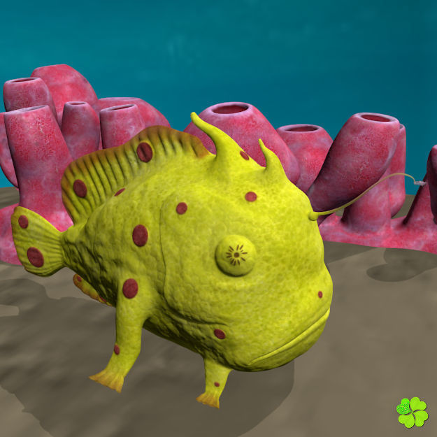 Antennarius low-poly with custom textures Low-poly 3D model_1