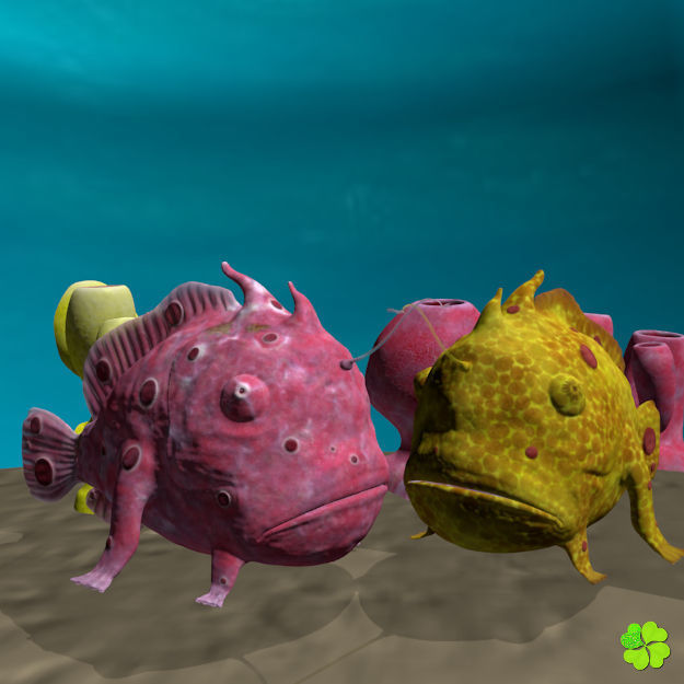 Antennarius low-poly with custom textures Low-poly 3D model_5