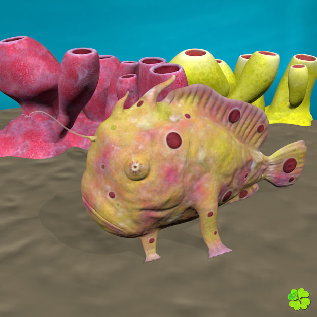 Antennarius low-poly with custom textures Low-poly 3D model_20