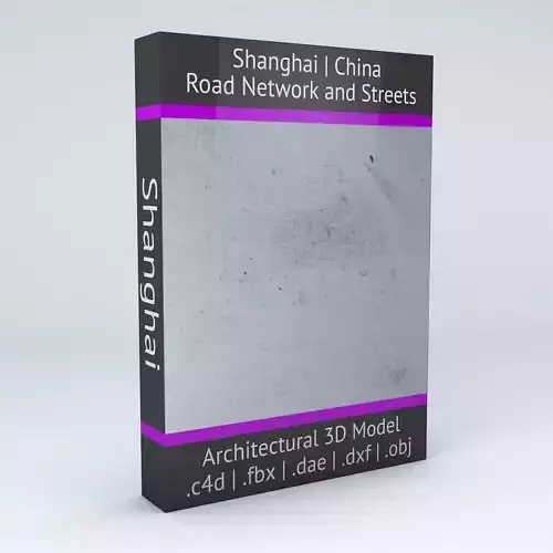 Shanghai Road Network and Streets 3D model