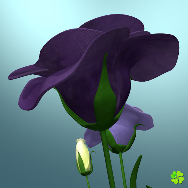 Flower of lisianthus multicolor low poly with vase Low-poly 3D model_8