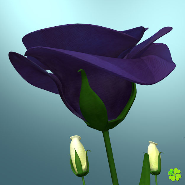 Flower of lisianthus multicolor low poly with vase Low-poly 3D model_7