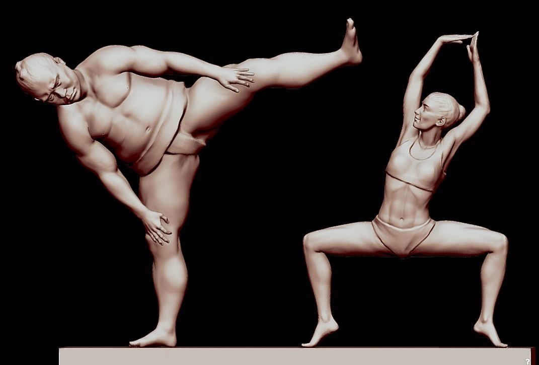 Sumo Ballet Free 3D print model