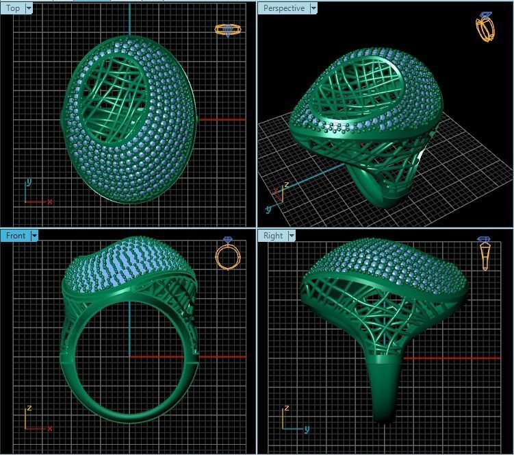Ring R0305 3D print model_2