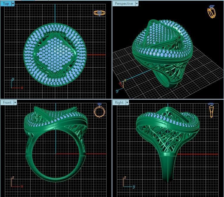Ring R0308 3D print model_2
