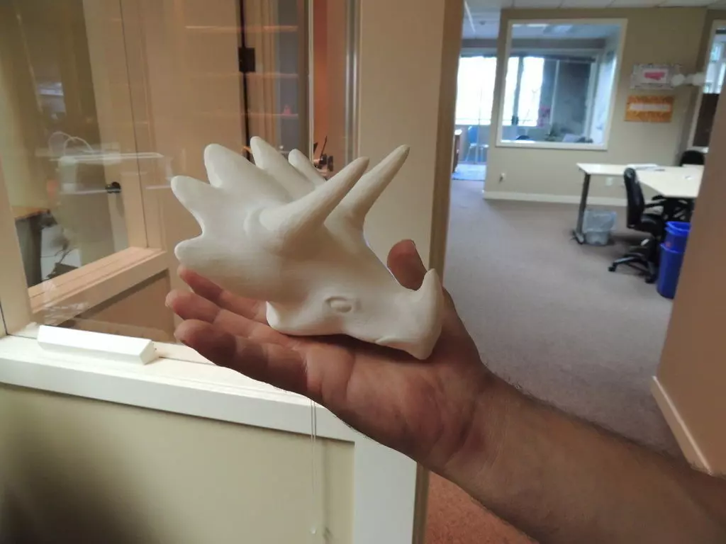 Triceratops head Free 3D print model_0