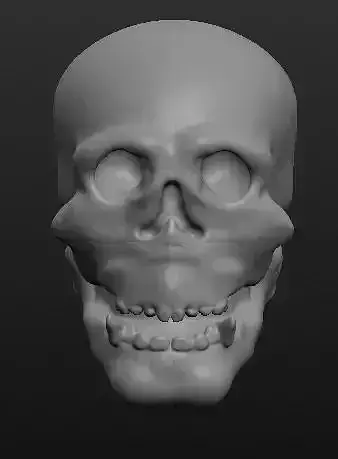 Skull thing Free 3D print model