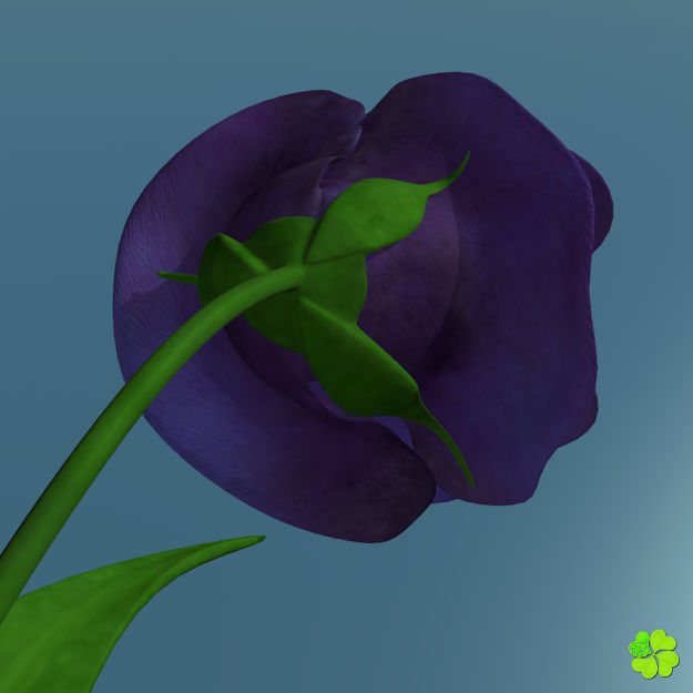 Flower of lisianthus multicolor rigged low poly with vase Low-poly 3D model_7