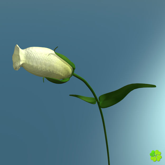 Flower of lisianthus multicolor rigged low poly with vase Low-poly 3D model_8
