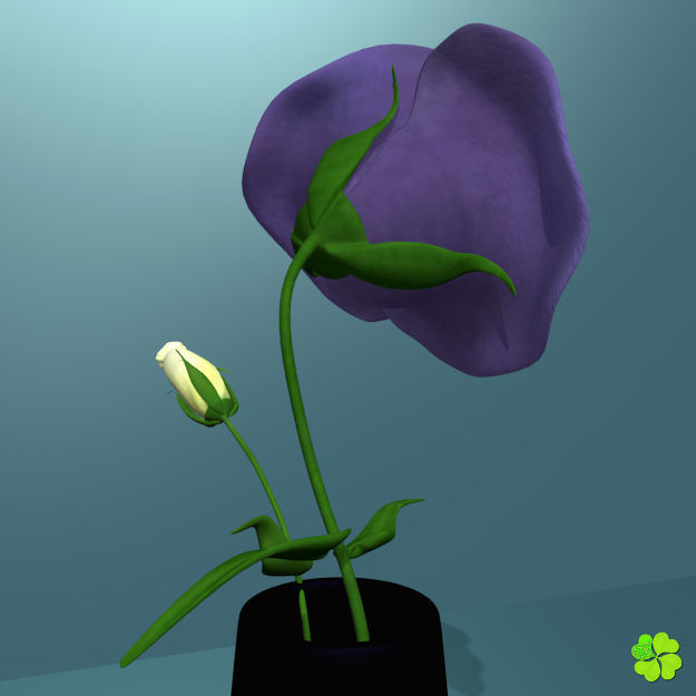 Flower of lisianthus multicolor rigged low poly with vase Low-poly 3D model_9