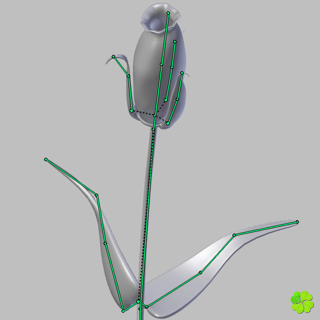 Flower of lisianthus multicolor rigged low poly with vase Low-poly 3D model_32
