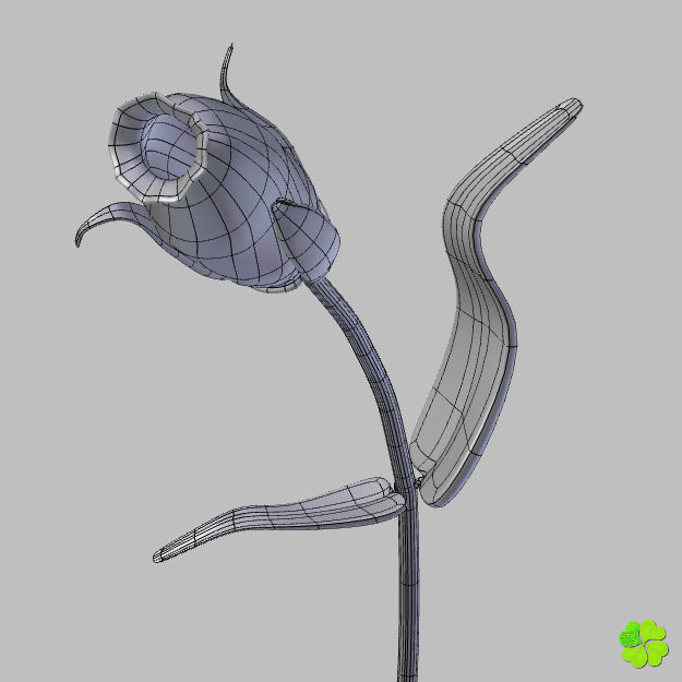 Flower of lisianthus multicolor rigged low poly with vase Low-poly 3D model_24