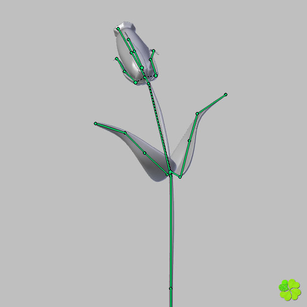 Flower of lisianthus multicolor rigged low poly with vase Low-poly 3D model_33