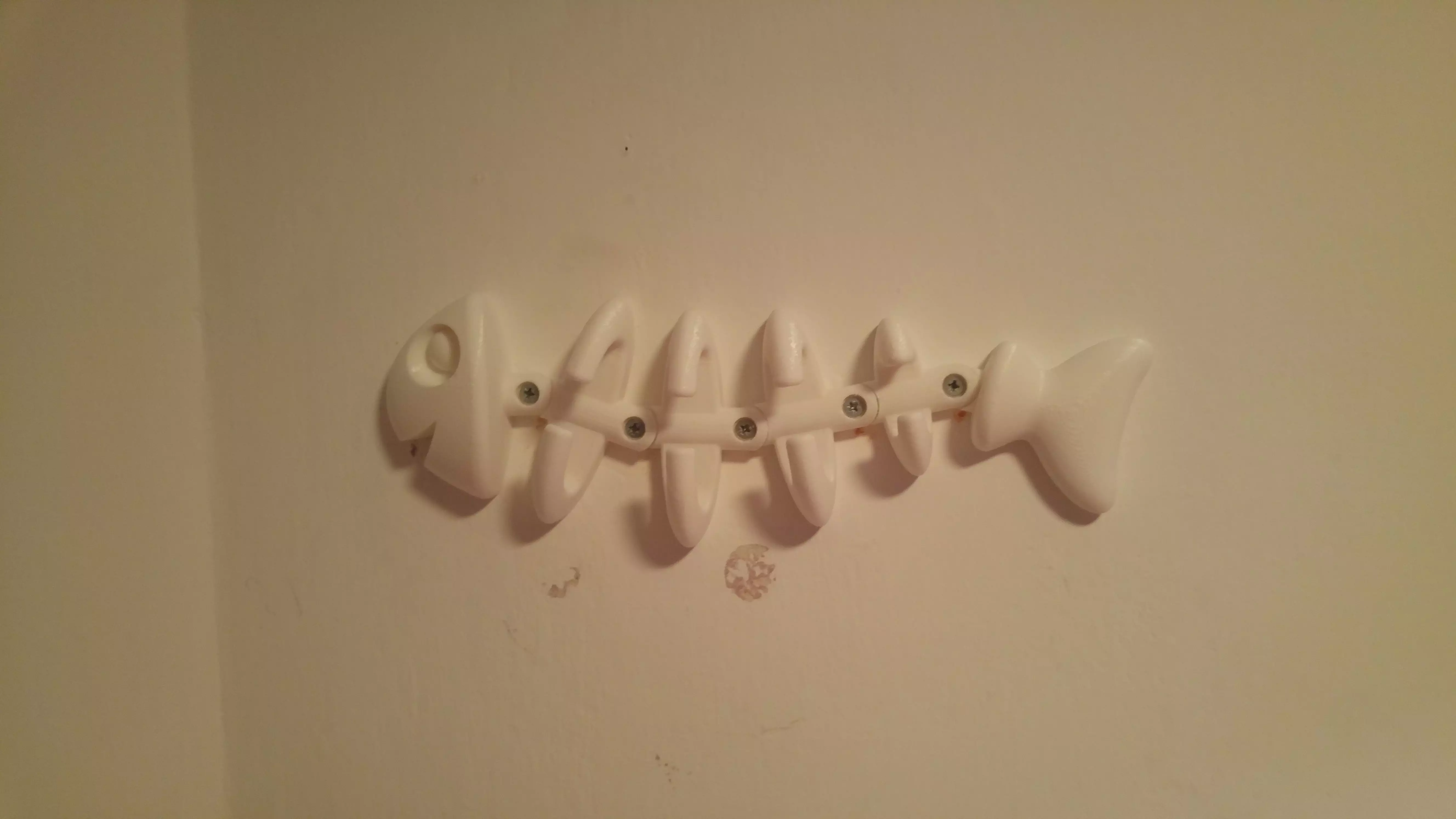 Fish Bone Wall Hanger 3D print model