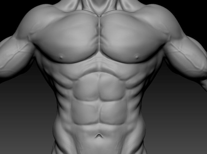 3d male muscle character Low-poly 3D model