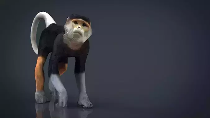 Monkey cat Low-poly 3D model