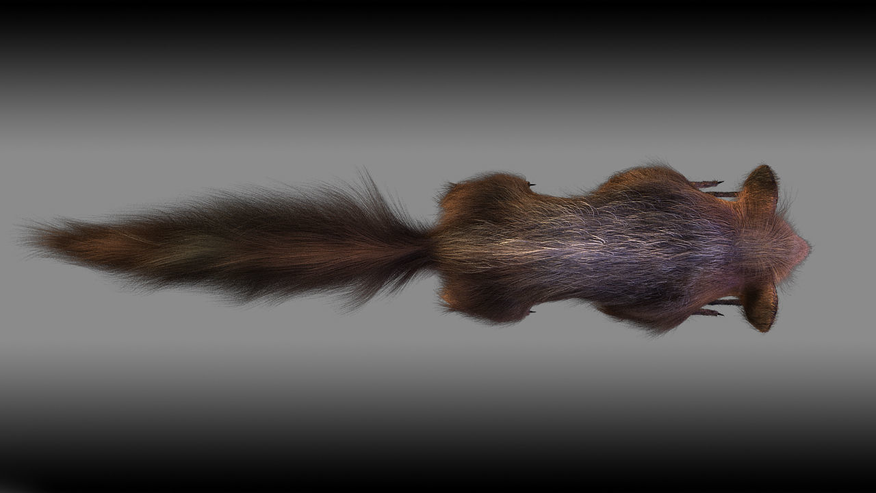 Aye Aye werewolf 3D model_14