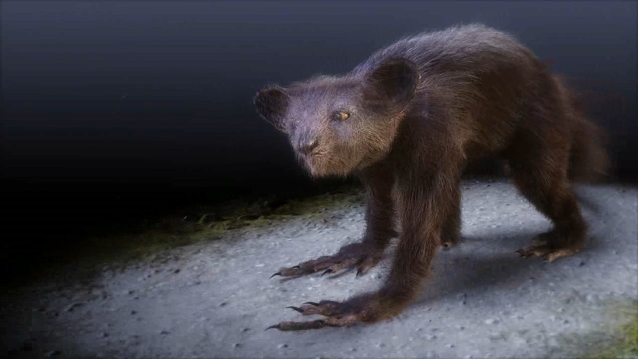 Aye Aye werewolf 3D model_5