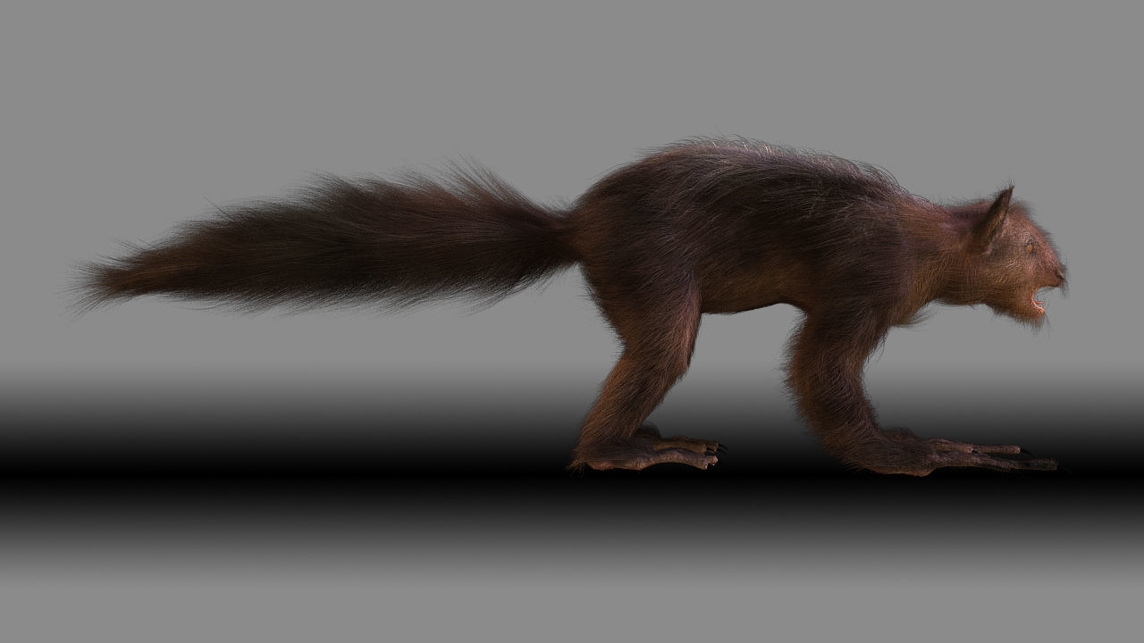 Aye Aye werewolf 3D model_10