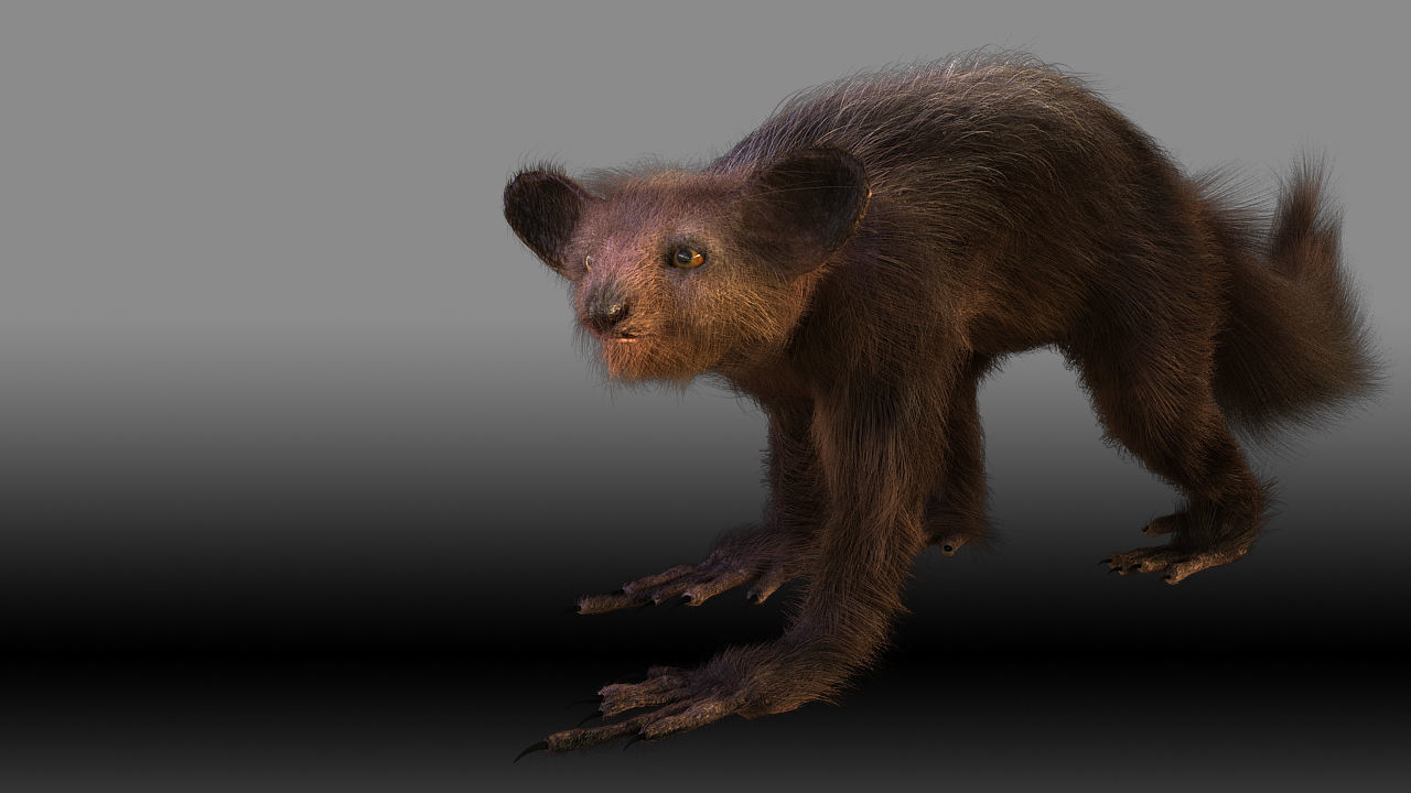 Aye Aye werewolf 3D model_12