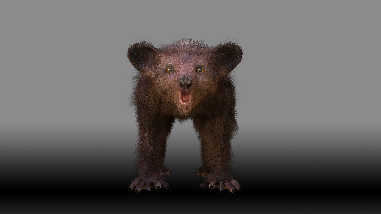 Aye Aye werewolf 3D model_6