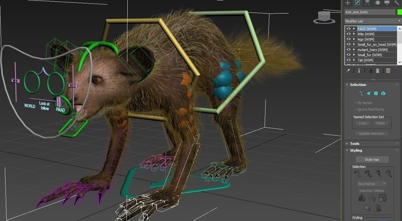 Aye Aye werewolf 3D model_13