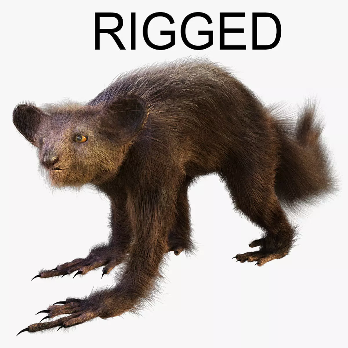Aye Aye werewolf 3D model_0