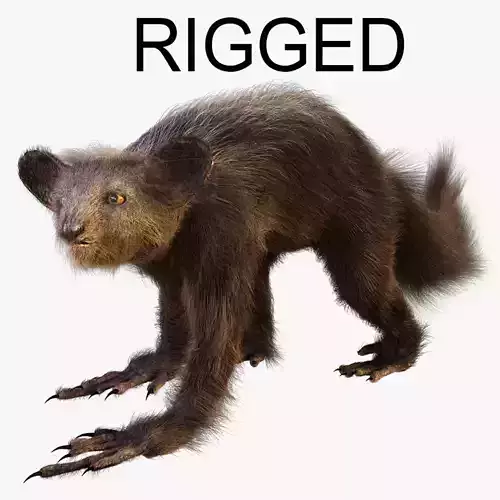 Aye Aye werewolf 3D model