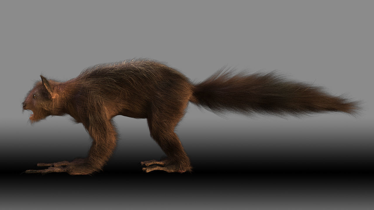 Aye Aye werewolf 3D model_8