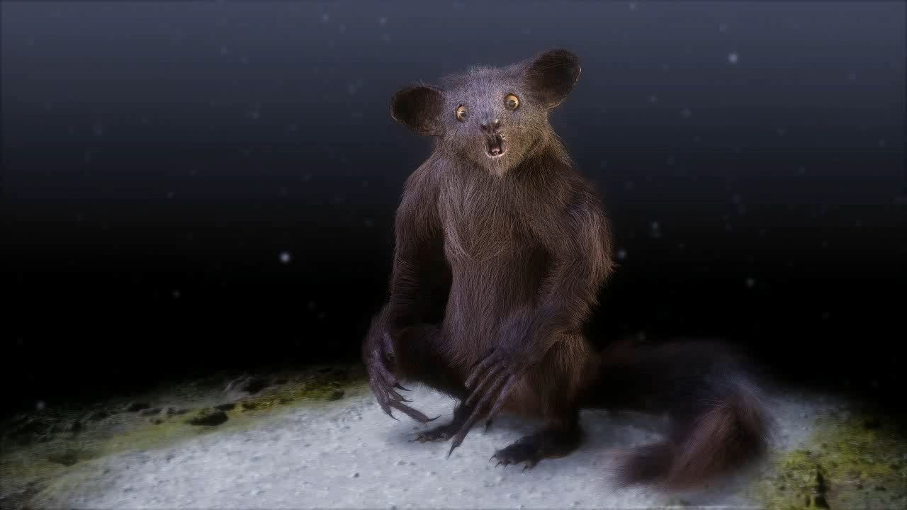 Aye Aye werewolf 3D model_3
