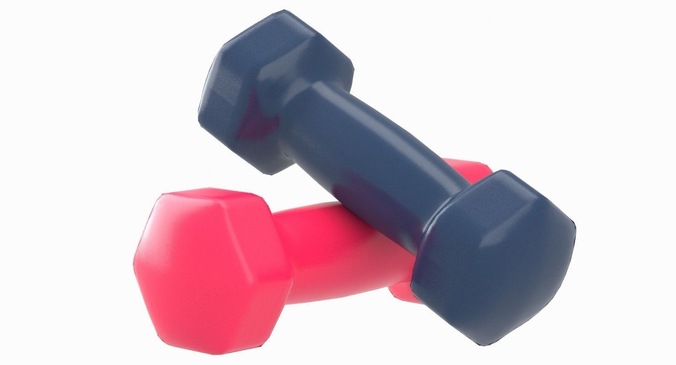 Dumbbell Hex 3D model