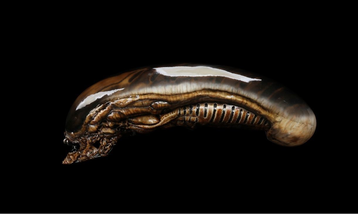 Xenomorph Head Free 3D model