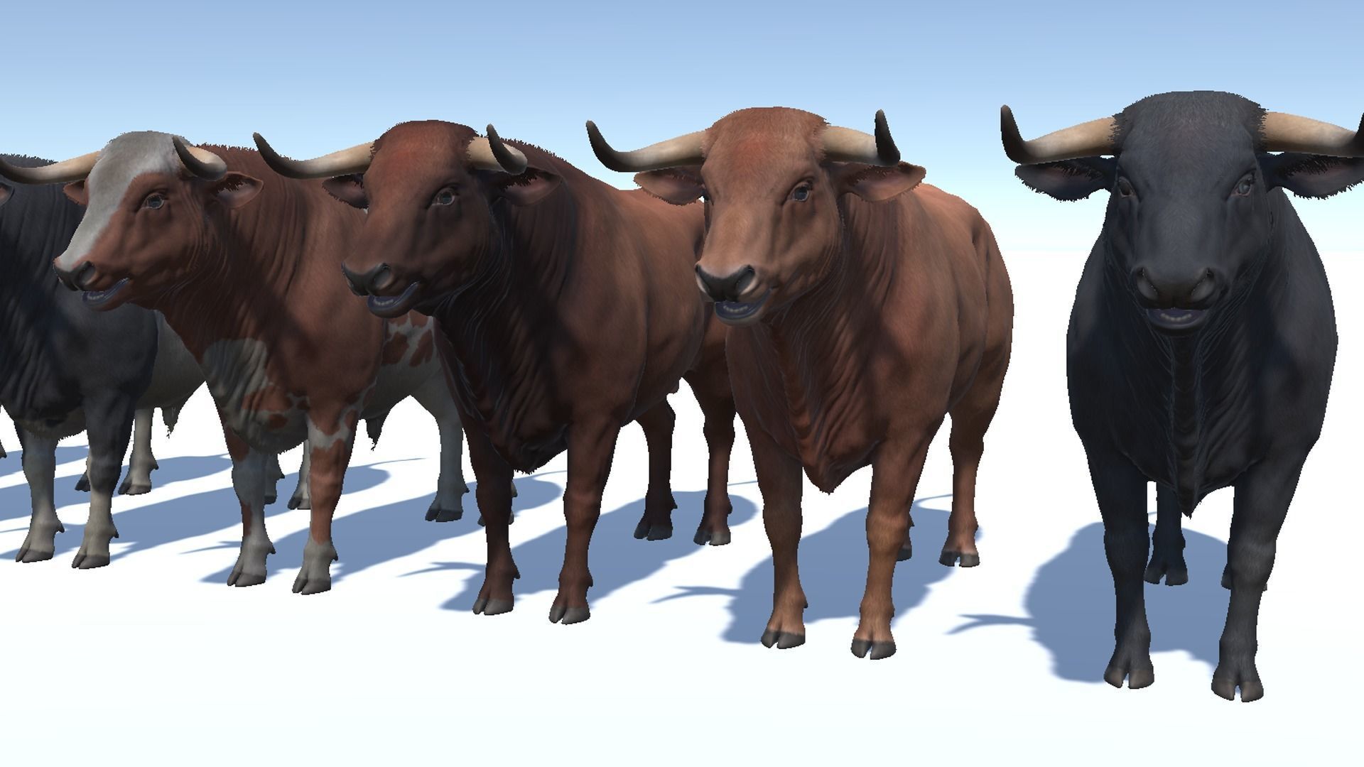 Bull realistic Low-poly 3D model_9