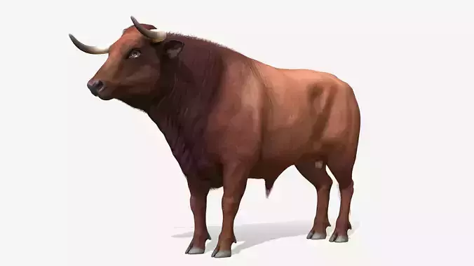 Bull realistic Low-poly 3D model