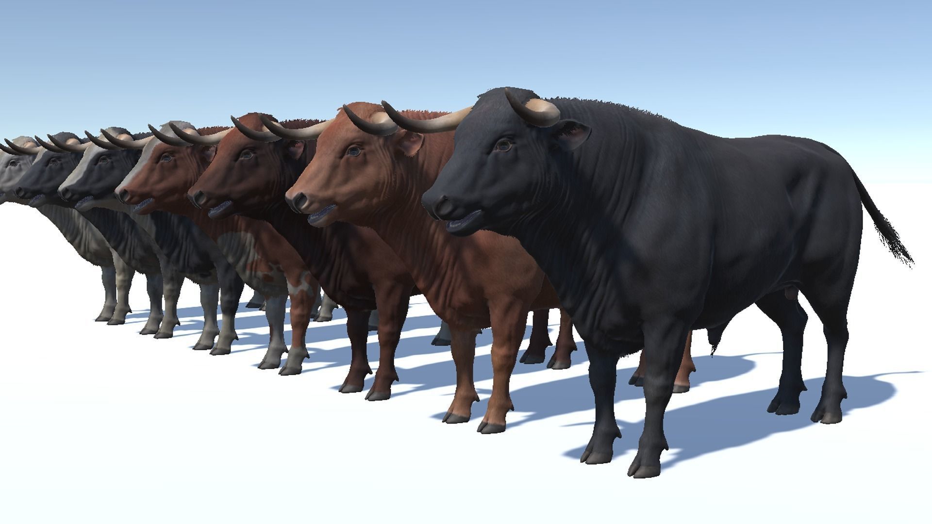 Bull realistic Low-poly 3D model_8