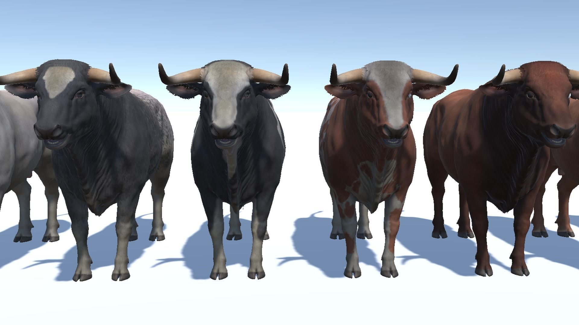 Bull realistic Low-poly 3D model_10
