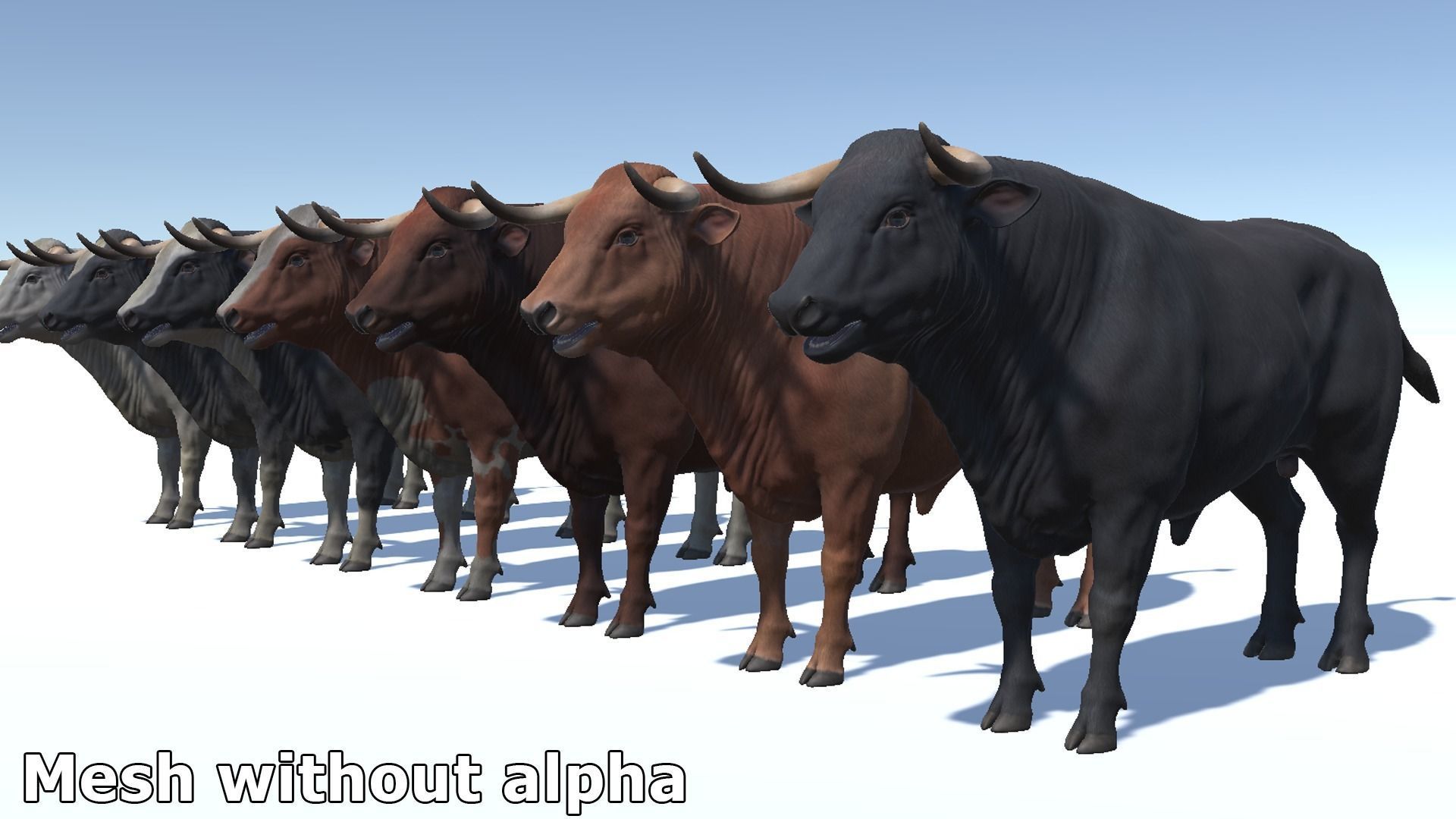Bull realistic Low-poly 3D model_14