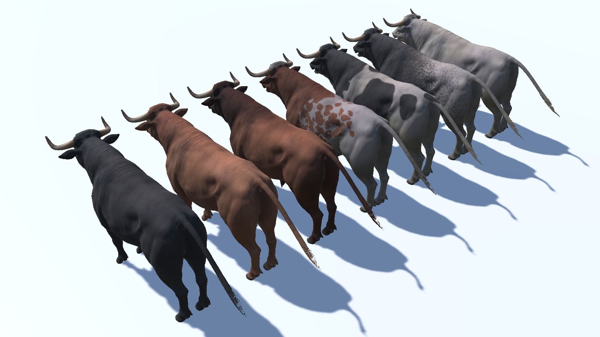 Bull realistic Low-poly 3D model_13