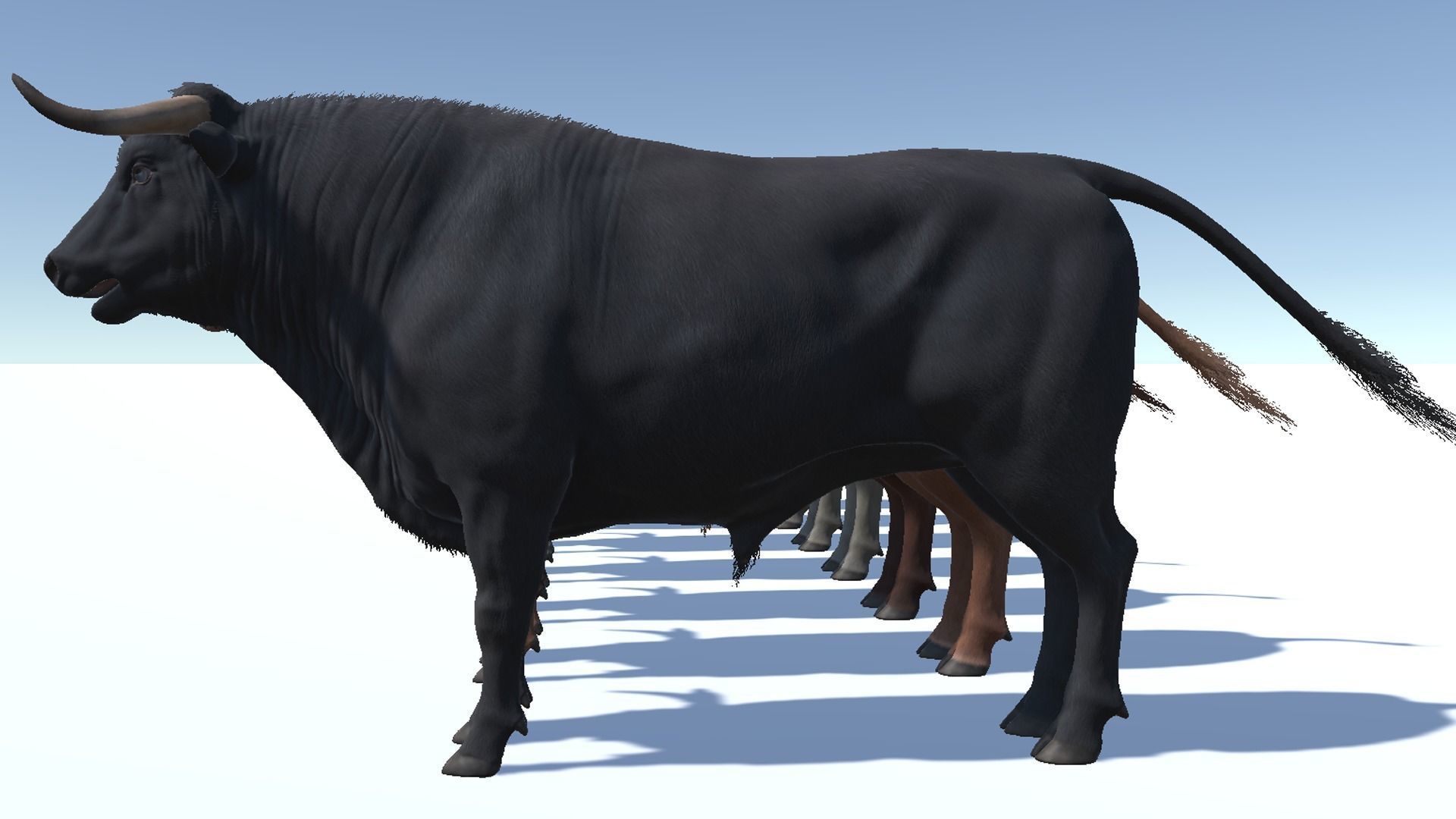 Bull realistic Low-poly 3D model_12