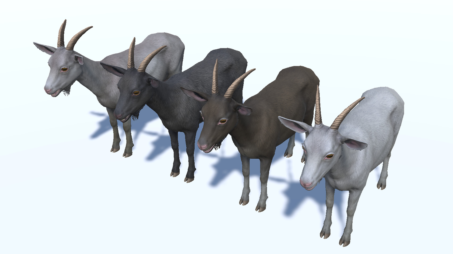 Goat - Female Low-poly 3D model_10