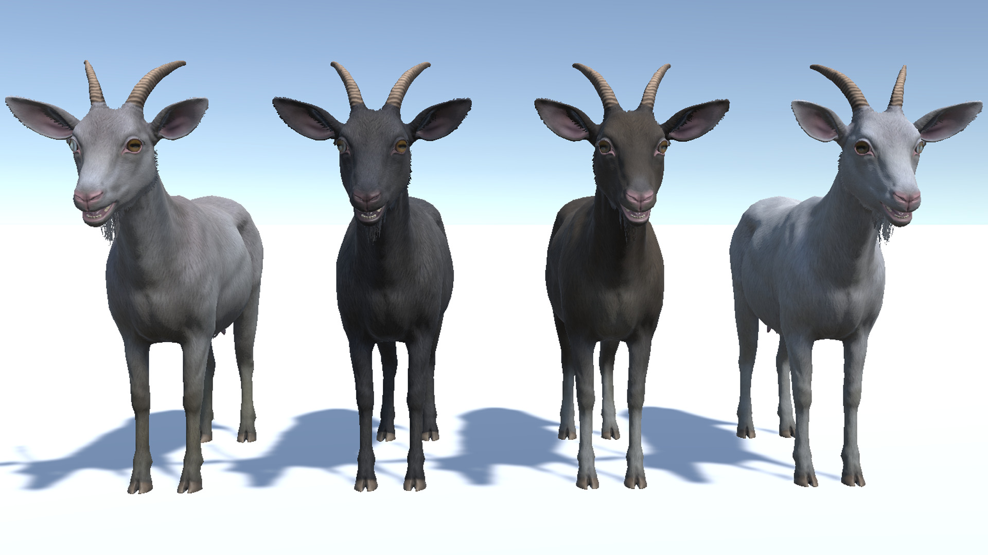 Goat - Female Low-poly 3D model_8
