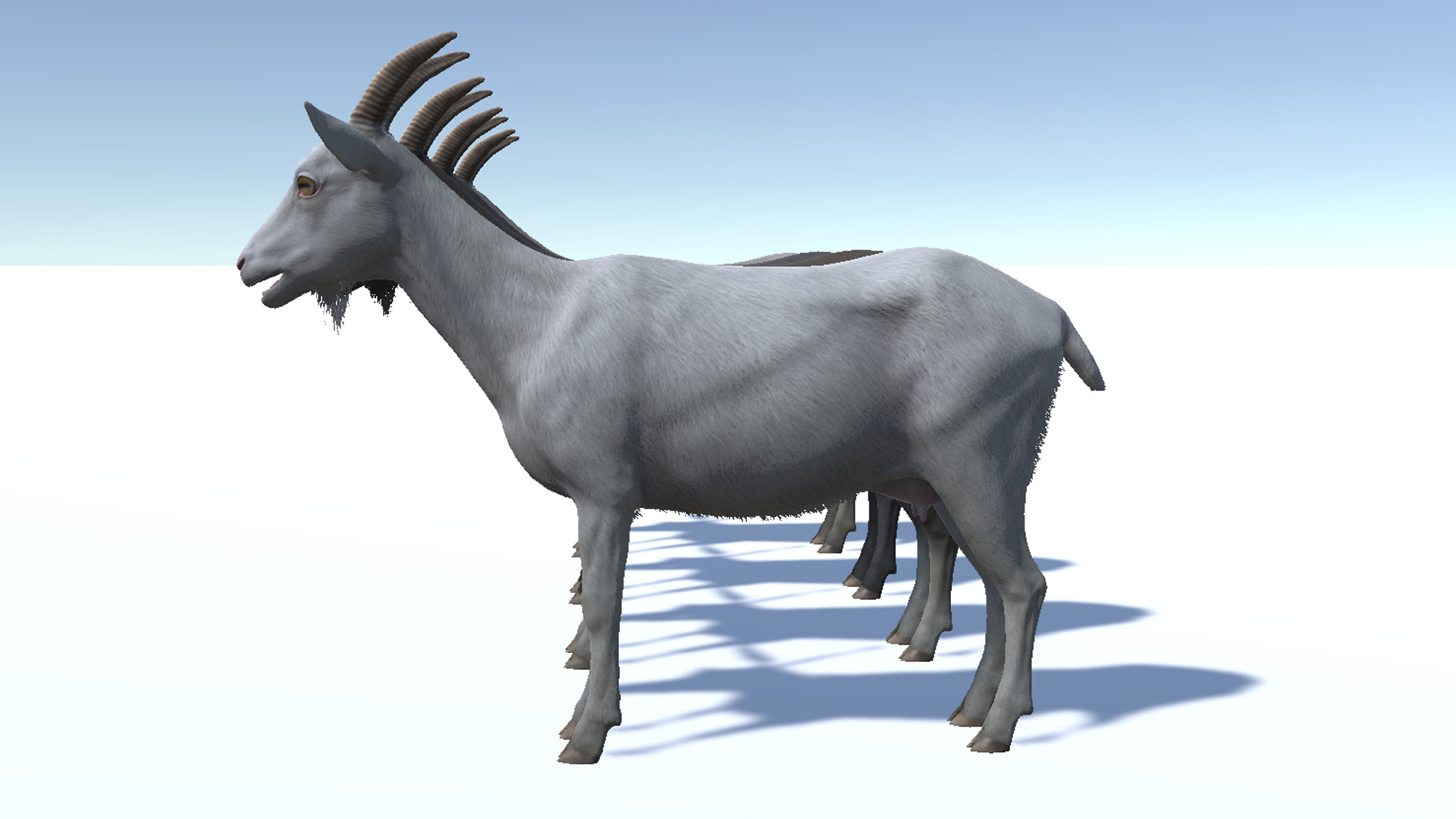 Goat - Female Low-poly 3D model_11