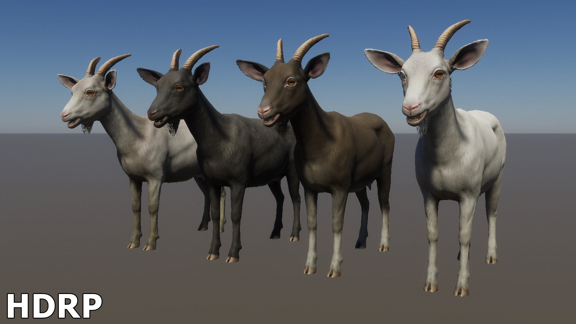 Goat - Female Low-poly 3D model_16