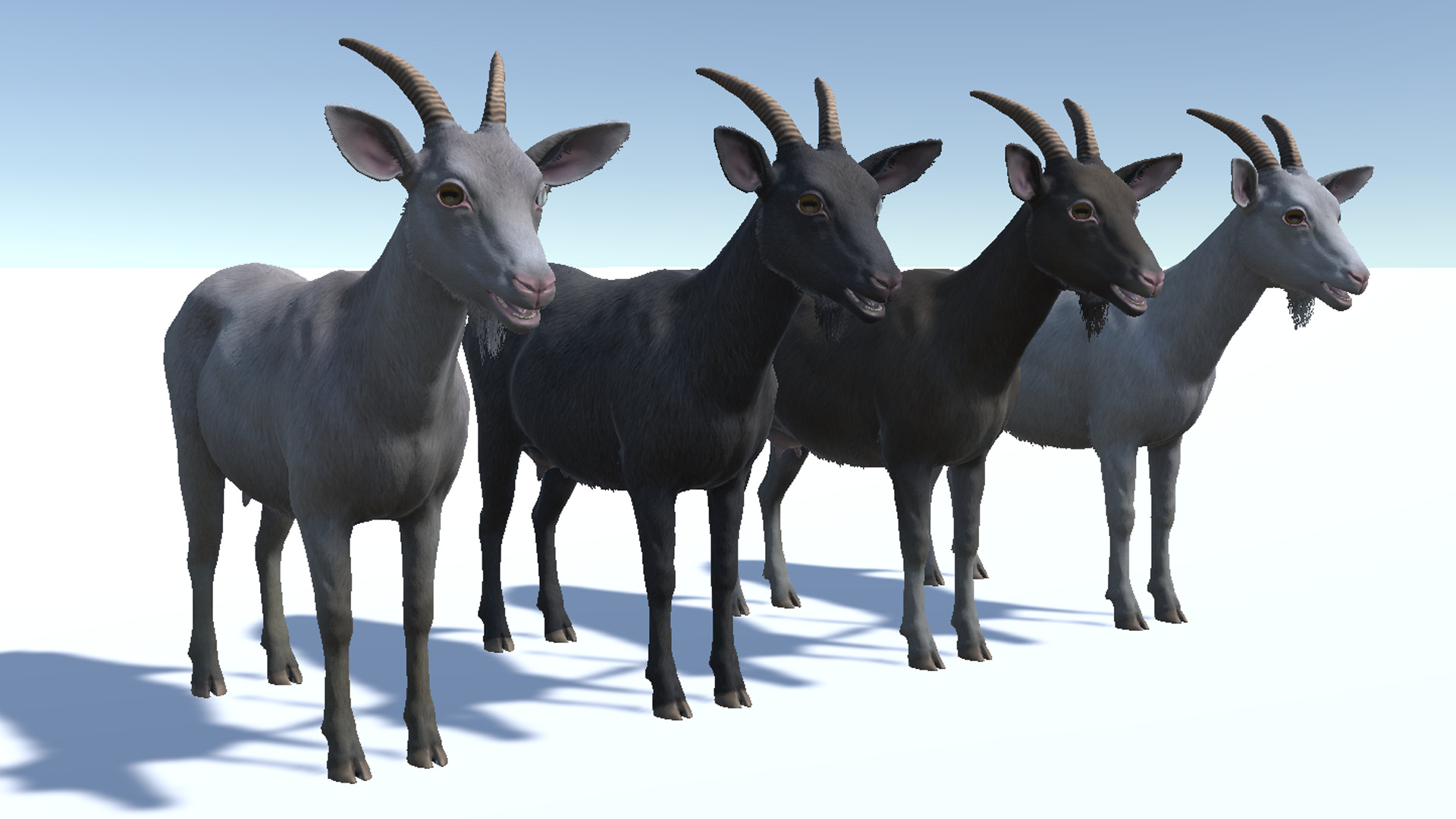Goat - Female Low-poly 3D model_9