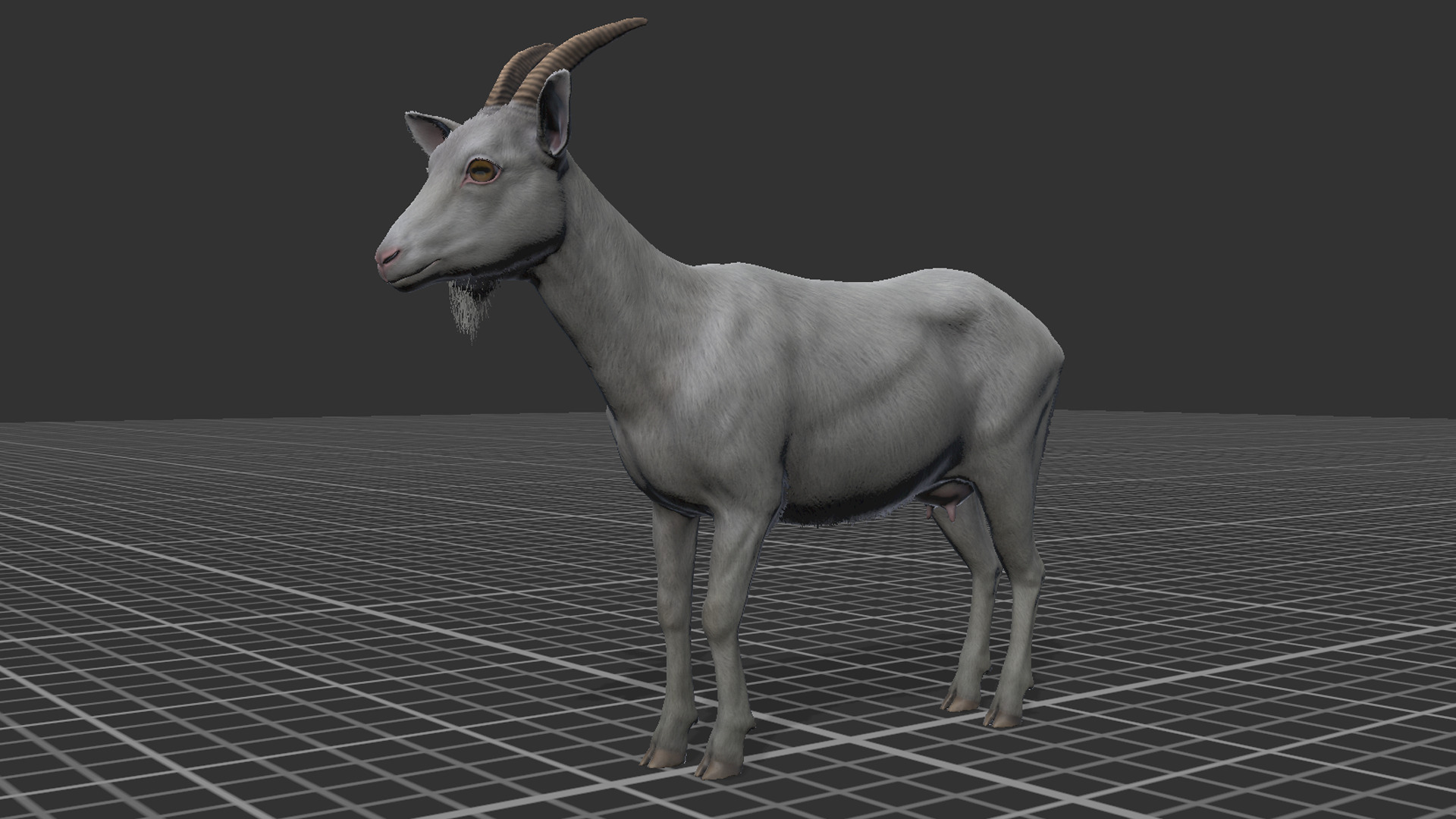 Goat - Female Low-poly 3D model_15